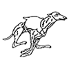 Greyhound 250